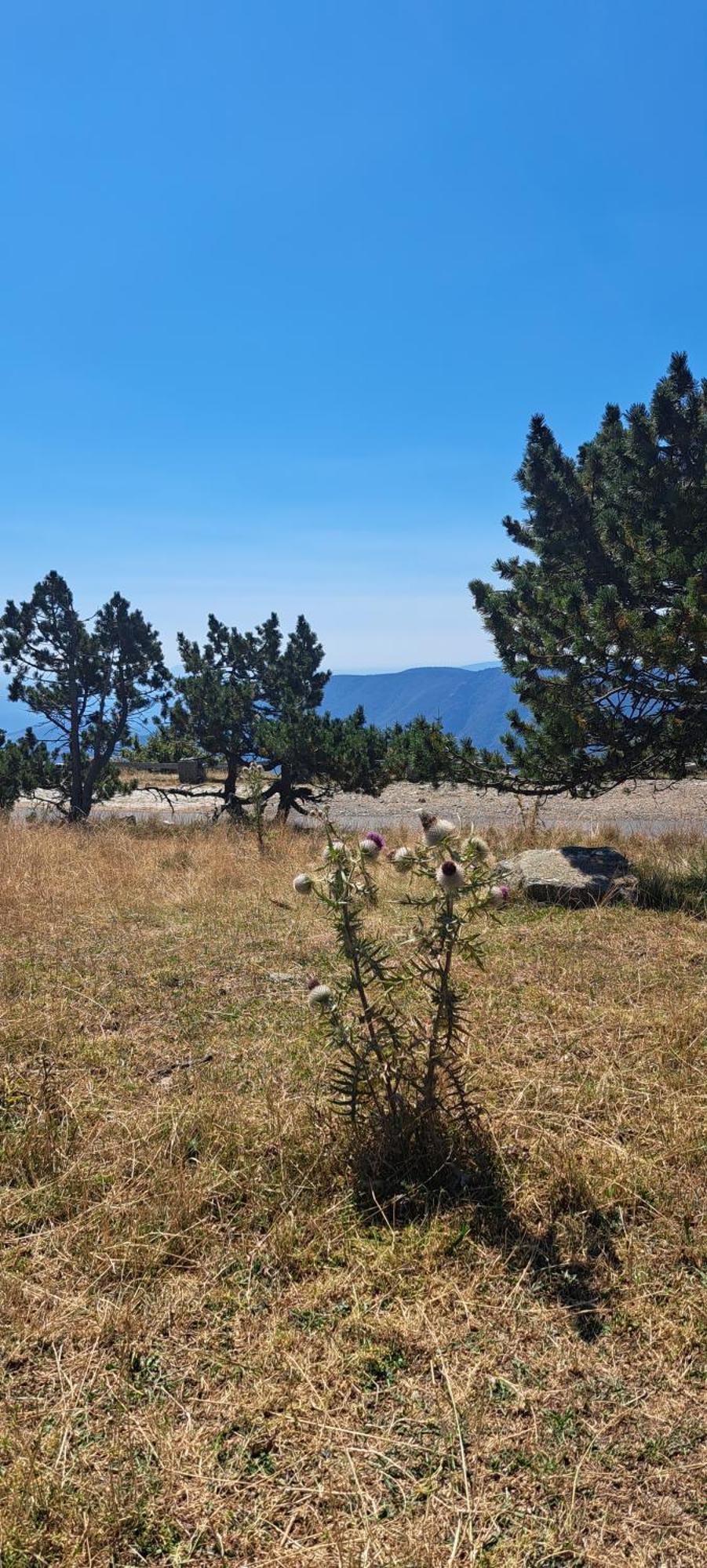 Le Mont Βίλα Fraissinet-de-Fourques Εξωτερικό φωτογραφία